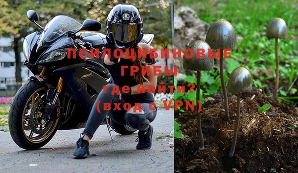 тгк Кулебаки