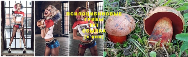 spice Куйбышев