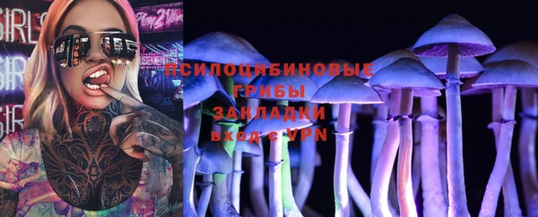 МДПВ Кукмор