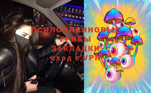 spice Куйбышев
