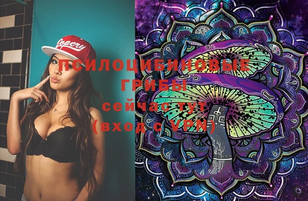 МДПВ Кукмор