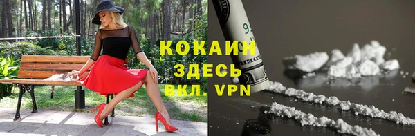 МДПВ Кукмор