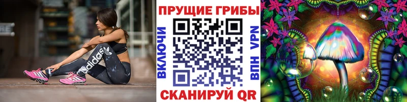 купить наркотики цена  Томск  Галлюциногенные грибы MAGIC MUSHROOMS 
