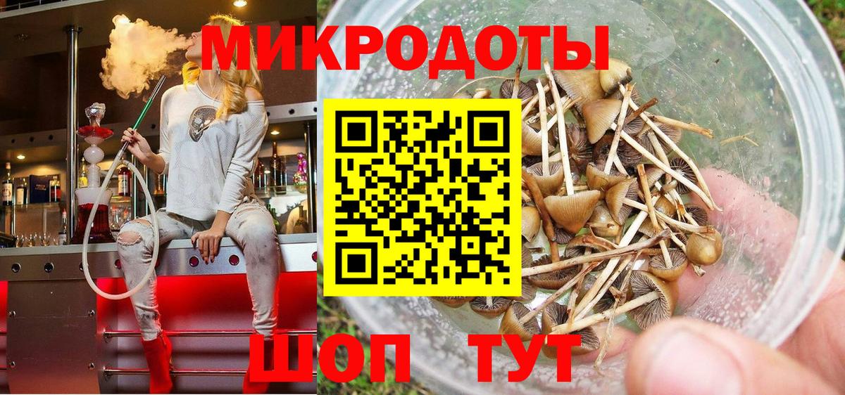 Псилоцибиновые грибы Psilocybine cubensis Томск