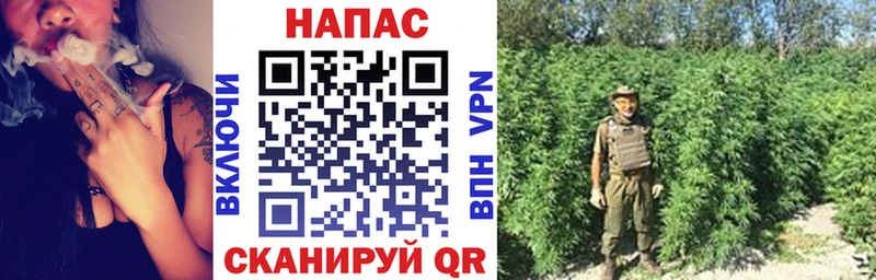 гидра ссылки  Томск  сайты даркнета официальный сайт  Канабис марихуана 